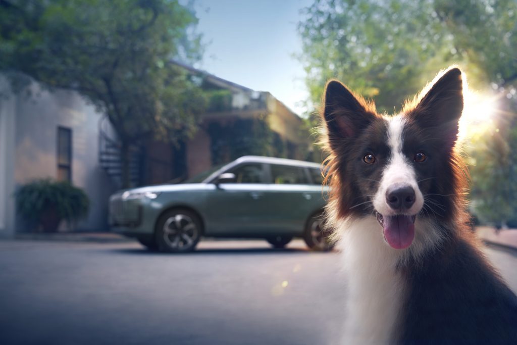 Left-Front-85o-Pet-in-the-Front-左前85度狗前景-1024x683