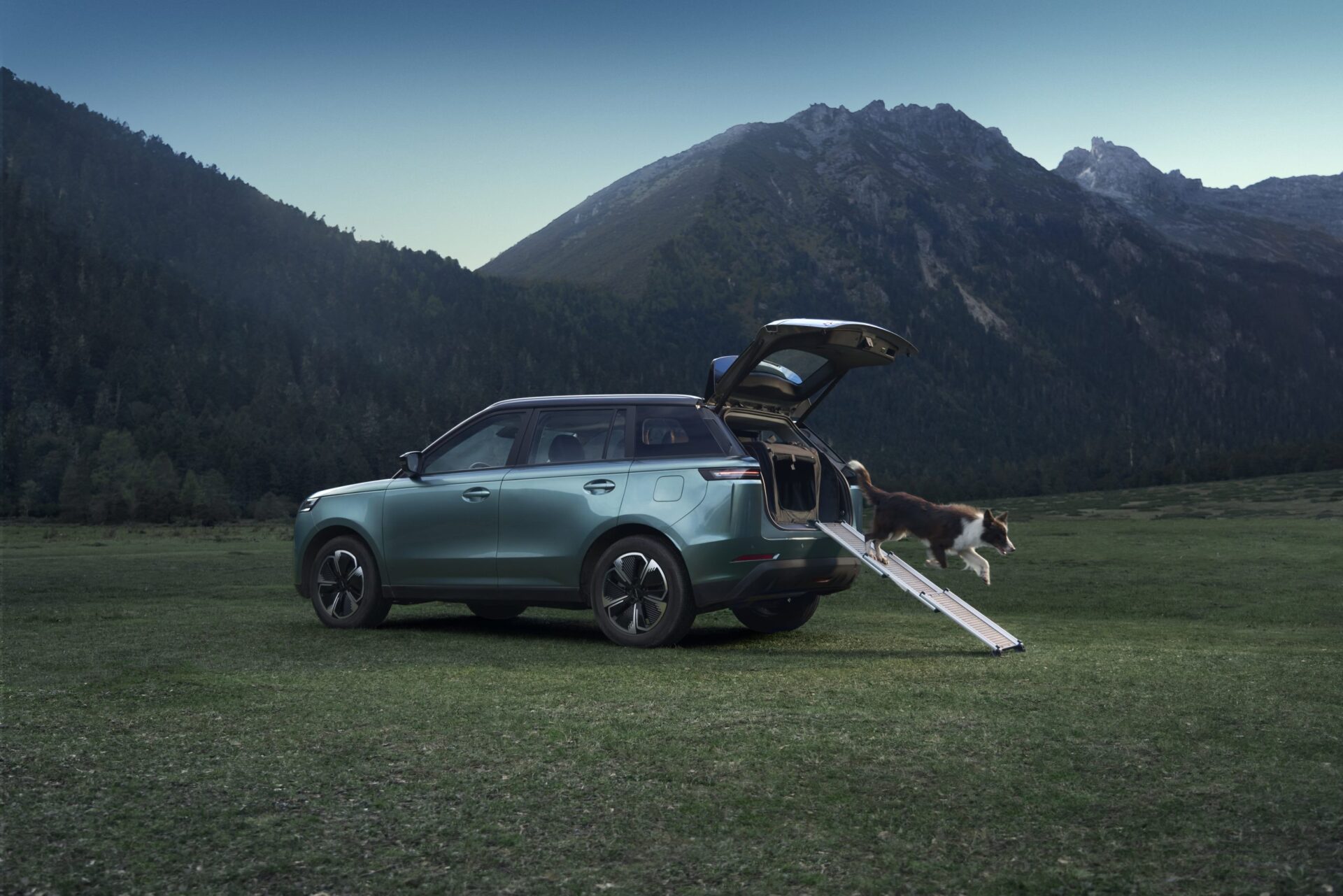 Pet-climbing-ladder-宠物爬梯-scaled